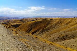 een uitgestorven een deel van de zaamin natuur reserveren in Oezbukistan Aan een zonnig zomer dag. visie van de bergen. foto