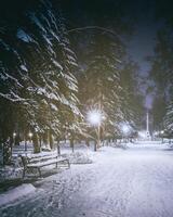 winter nacht park met bomen, gloeiend lantaarns en banken gedekt met sneeuw. wijnoogst film stijlvol. foto