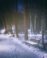 winter nacht park met bomen, gloeiend lantaarns en banken gedekt met sneeuw. wijnoogst film stijlvol. foto