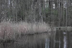 natuur achtergrond foto