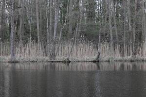 natuur achtergrond foto