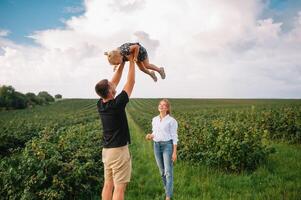 de dochter knuffelen ouders Aan natuur. mama, vader en meisje peuter, wandelen in de gras. gelukkig jong familie uitgeven tijd samen, buiten, Aan vakantie, buitenshuis. de concept van familie vakantie foto