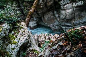 wit rots Ravijn oerwoud en berg Woud hiking, khosta rivier- langs kliffen foto