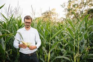 gelukkig boer in de veld- controle maïs planten gedurende een zonnig zomer dag, landbouw en voedsel productie concept. foto