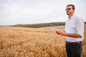 landbouw, boer of agronoom inspecteren de kwaliteit van tarwe in veld klaar om te oogsten foto