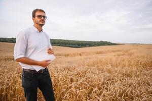 achtergrond met gebarsten bodem en soja veld. droogte in landbouw. top visie van droogte in soja veld- met gebarsten bodem foto