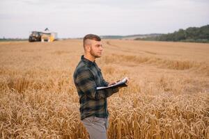 jong agronoom Mens staand Aan tarwe veld- controle kwaliteit terwijl combineren oogstmachine werken foto