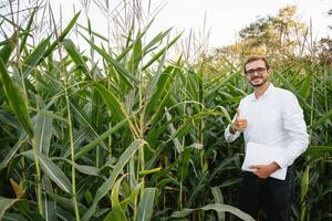 portret van een boer glimlachen Bij de camera, op zoek en controle de korenveld, Groenen achtergrond. foto