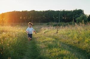 knap vader met zijn weinig schattig zoon zijn hebben pret en spelen Aan groen met gras begroeid gazon. gelukkig familie concept. schoonheid natuur tafereel met familie buitenshuis levensstijl. familie resting samen. vaders dag foto