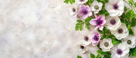 sereen anemoon bloemen Scherm foto