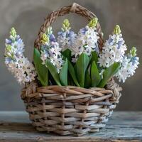hyacinten mand rustiek charme foto
