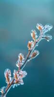 ijzig blauw knop macro schot foto