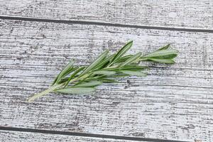 rozemarijn Afdeling - biologisch pittig kruid foto