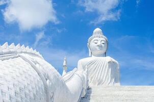 naga trap omhoog naar een groot Boeddha Aan top van de naakt heuvels in phuket, Thailand. foto