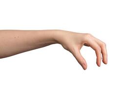 vrouw hand- gebaren geïsoleerd Aan wit achtergrond. arm tonen tekens met Open palm, vingers, duim, foto