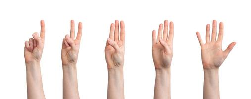 vingers tellen van een naar vijf cijfers nummers, hand- gebaar geïsoleerd Aan wit achtergrond foto