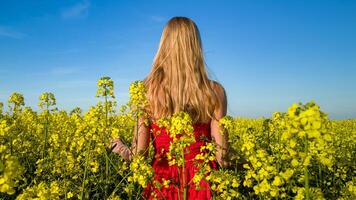 Kaukasisch vrouw in rood jurk in toneel- geel koolzaad veld- foto