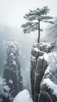 een verzameling van adembenemend landschap foto's presentatie van de sereen schoonheid van met sneeuw bedekt berg bereiken. foto