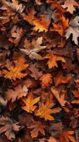 levendig herfst blad structuur foto