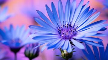 levendig blauw madeliefachtig bloesems met Purper tinten Aan een kleurrijk backdrop foto