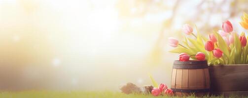 banier met zachte focus tulpen in een mand en houten vat Aan gras foto