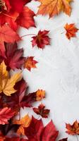 herfst bladeren wit achtergrond foto