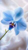 blauw orchidee Aan zacht kleding stof foto