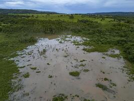 klein moeras in itja goias foto