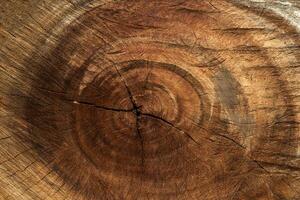 structuur van hout. foto