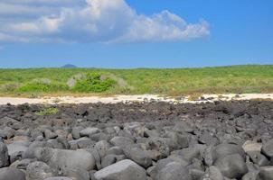 lucht, en rotsen, Galapagos foto