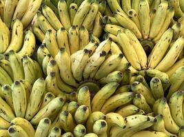 bundel van bananen in een markt kraam foto