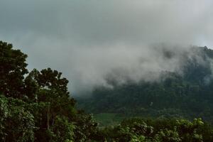 ochtend- de nevel Bij berg en tropisch regenwoud ,Thailand foto