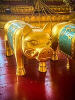 gouden varken standbeeld is een mooi Thais en Chinese architectuur van nacha's sa Thais stortkoker altaar, naja altaar, najasaataichue, nezha altaar Chinese tempel. mooi zo geluk Chinese nieuw jaar feesten. foto
