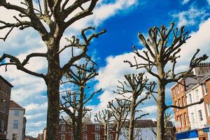 levendig blauw lucht met pluizig wolken, presentatie van een strak contrast tussen natuur en de kleurrijk gevels van stedelijk gebouwen in de achtergrond in york, noorden yorkshire, Engeland. foto