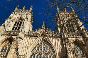 gotisch kathedraal facade met ingewikkeld architectuur en blauw lucht achtergrond, ingelijst door kaal boom takken in york, noorden yorkshire, Engeland. foto