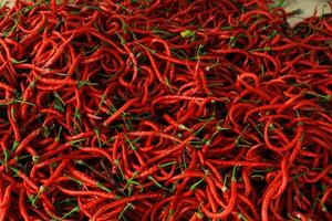top visie van rood Chili peper structuur achtergrond foto