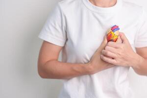 vrouw Holding menselijk hart model. cardiovasculair ziekten, aderverkalking, hypertensief hart, valvulaire hart, aortopulmonaal venster, wereld hart dag en Gezondheid concept foto