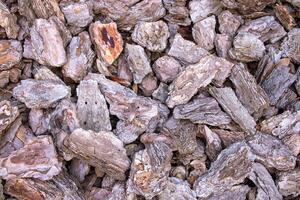 hout chips achtergrond. stukken van hout structuur foto