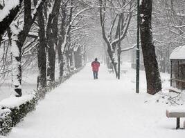 zwaar sneeuwval in de stad. mensen wandelen in de straten. bomen en takken gedekt in wit. winter tijd in de stad. foto
