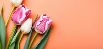 licht koraal perzik kleur tulpen bloemen boeket voorjaar bloemen banier ruimte voor tekst copyspace foto