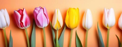 licht koraal perzik kleur tulpen bloemen boeket voorjaar bloemen banier ruimte voor tekst copyspace foto