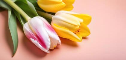 licht koraal perzik kleur tulpen bloemen boeket voorjaar bloemen banier ruimte voor tekst copyspace foto