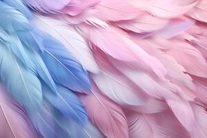 pastel veren achtergrond, pastel kleur veer abstract achtergrond textuur, pastel veren behang, pastel vogel veren patroon, foto