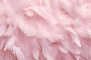 licht roze veren achtergrond, licht roze veren patroon, veren achtergrond, veren behang, vogel veren patroon, foto