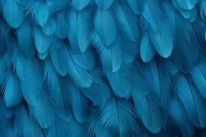 blauw veren achtergrond, blauw veren patroon, veren achtergrond, veren behang, vogel veren patroon, foto