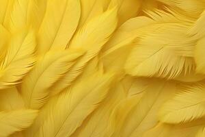 geel veren achtergrond, geel veren patroon, veren achtergrond, veren behang, vogel veren patroon, foto