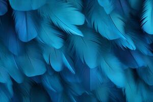blauw veren achtergrond, blauw veren patroon, veren achtergrond, veren behang, vogel veren patroon, foto