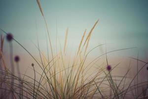 mist op het strand foto