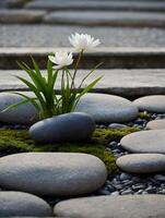 wit bloemen Aan kiezelsteen stenen in zen tuin. zen concept foto