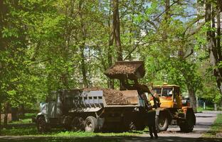 de stad verbetering team verwijdert de gedaald bladeren in de park met een graafmachine en een vrachtwagen. regelmatig seizoensgebonden werk Aan verbeteren de openbaar plaatsen voor recreatie foto